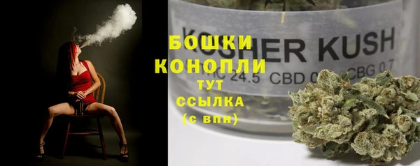 дмт Заводоуковск